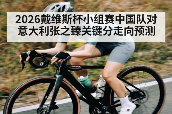 2026戴维斯杯小组赛中国队对意大利张之臻关键分走向预测